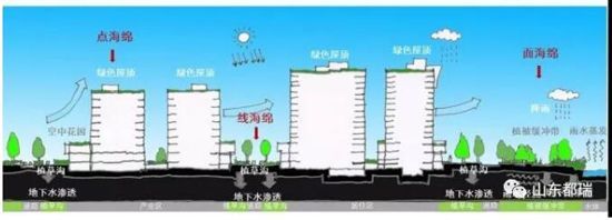 如何理解「海綿城市」的概念？
